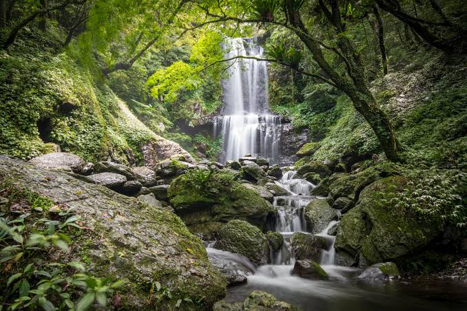 Waterfall Pavana